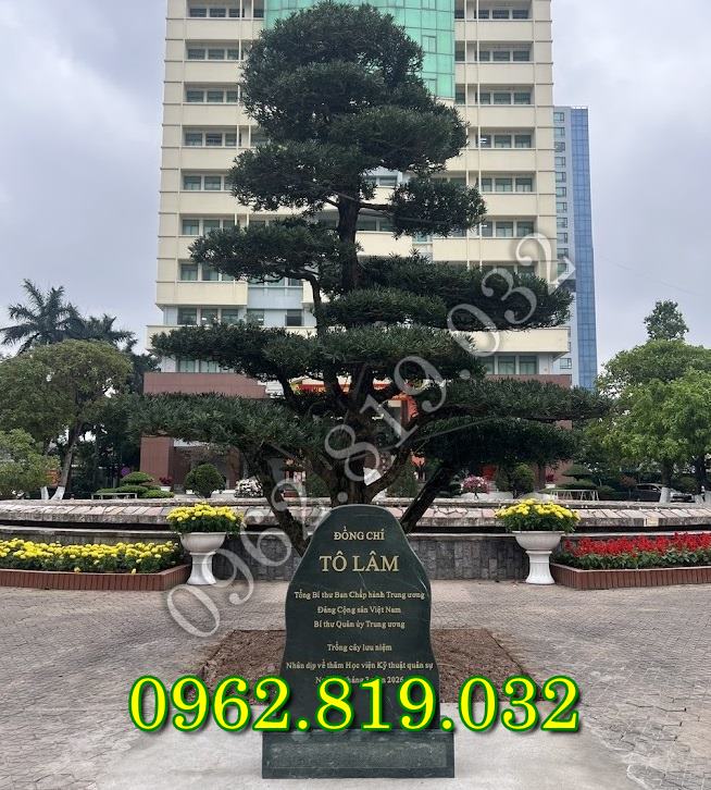 Bia đá trồng cây lưu niệm tại công viên cây xanh